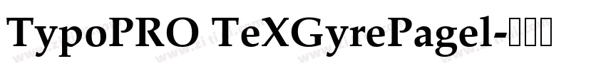 TypoPRO TeXGyrePagel字体转换